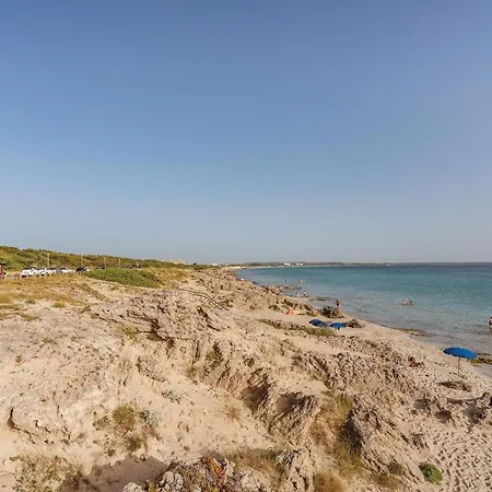 Trilo * Gallipoli